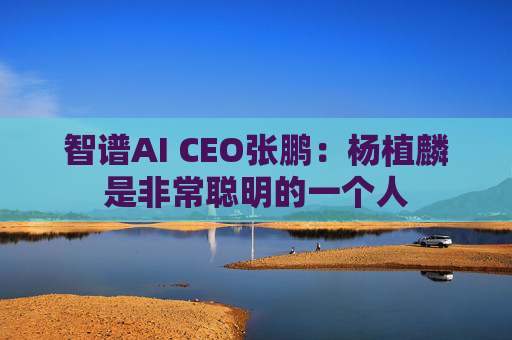 智谱AI CEO张鹏：杨植麟是非常聪明的一个人