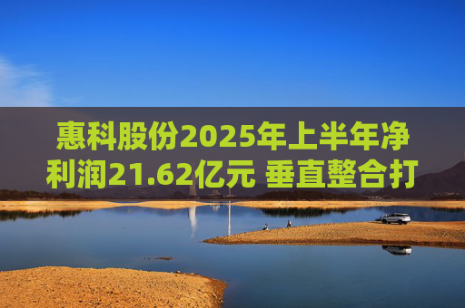 惠科股份2025年上半年净利润21.62亿元 垂直整合打造显示产业全链条优势