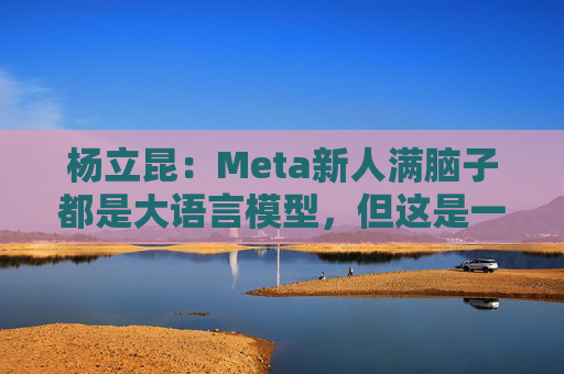杨立昆：Meta新人满脑子都是大语言模型，但这是一条死胡同  第1张
