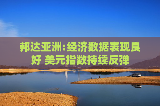 邦达亚洲:经济数据表现良好 美元指数持续反弹  第1张