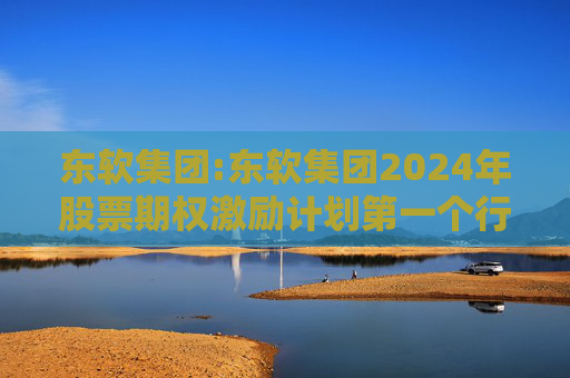 东软集团:东软集团2024年股票期权激励计划第一个行权期2025年第四季度自主行权结果暨股份变动的公告