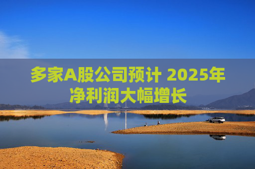 多家A股公司预计 2025年净利润大幅增长