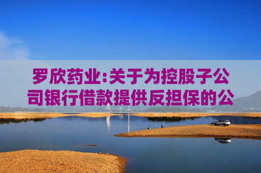 罗欣药业:关于为控股子公司银行借款提供反担保的公告