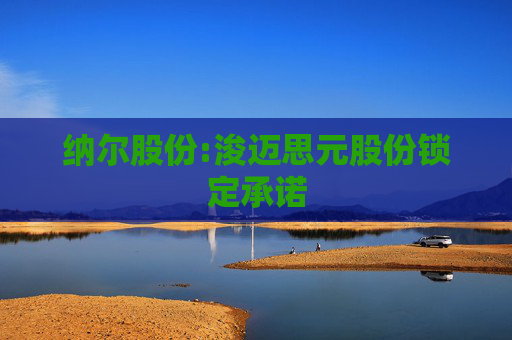 纳尔股份:浚迈思元股份锁定承诺