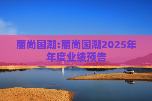 丽尚国潮:丽尚国潮2025年年度业绩预告