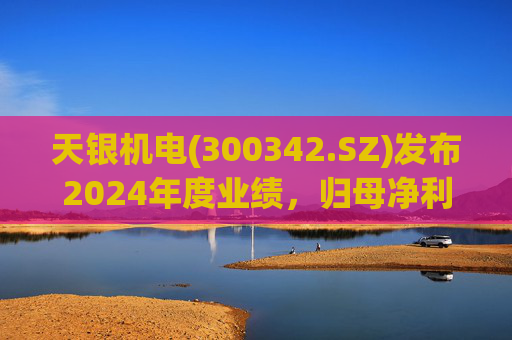 天银机电(300342.SZ)发布2024年度业绩，归母净利润9040.74万元，同比增长175.80%