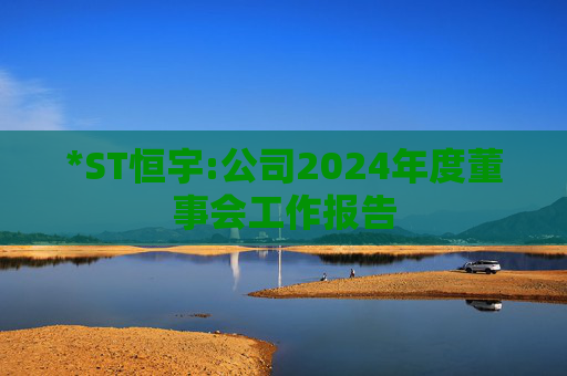 *ST恒宇:公司2024年度董事会工作报告