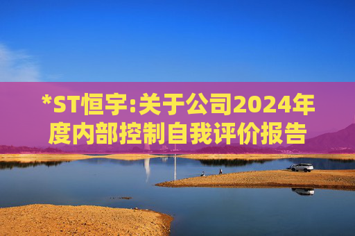 *ST恒宇:关于公司2024年度内部控制自我评价报告  第1张