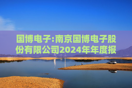 国博电子:南京国博电子股份有限公司2024年年度报告