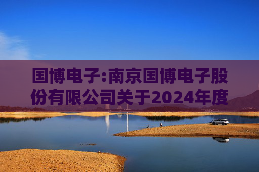 国博电子:南京国博电子股份有限公司关于2024年度募集资金存放与使用情况的专项报告