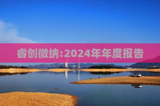 睿创微纳:2024年年度报告  第1张