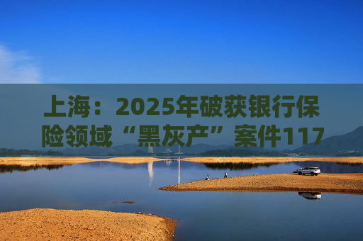 上海：2025年破获银行保险领域“黑灰产”案件117起 持续净化金融生态