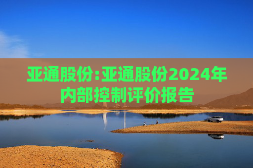 亚通股份:亚通股份2024年内部控制评价报告  第1张