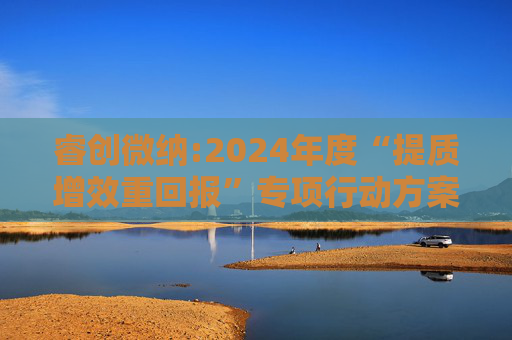 睿创微纳:2024年度“提质增效重回报”专项行动方案的评估报告暨2025年度“提质增效重回报”专项行动方案