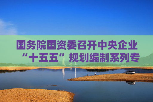 国务院国资委召开中央企业“十五五”规划编制系列专题座谈会  第1张