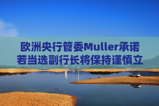 欧洲央行管委Muller承诺若当选副行长将保持谨慎立场