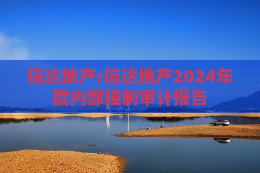 信达地产:信达地产2024年度内部控制审计报告  第1张
