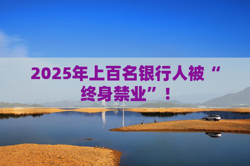 2025年上百名银行人被“终身禁业”！