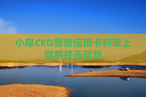 小摩CEO警告信用卡利率上限将挤压信贷