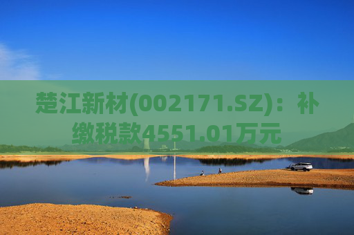 楚江新材(002171.SZ)：补缴税款4551.01万元  第1张
