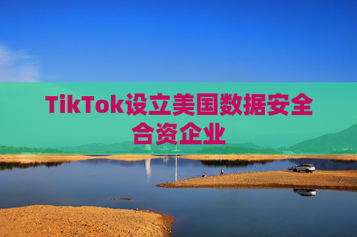 TikTok设立美国数据安全合资企业