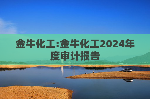 金牛化工:金牛化工2024年度审计报告  第1张
