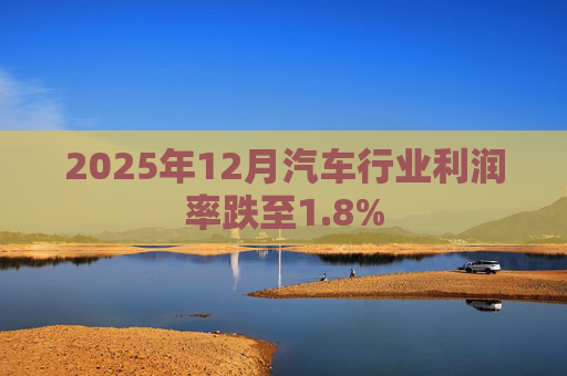 2025年12月汽车行业利润率跌至1.8%  第1张