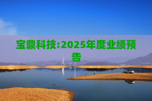 宝鼎科技:2025年度业绩预告