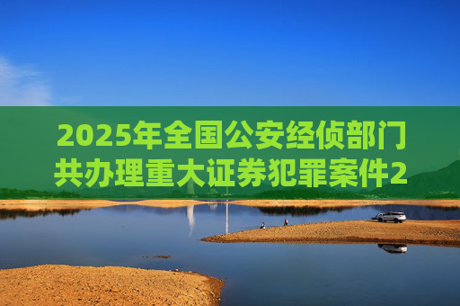 2025年全国公安经侦部门共办理重大证券犯罪案件200余起