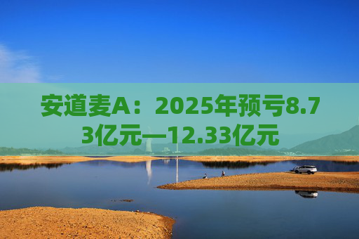 安道麦A：2025年预亏8.73亿元—12.33亿元  第1张