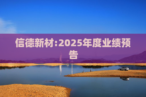 信德新材:2025年度业绩预告