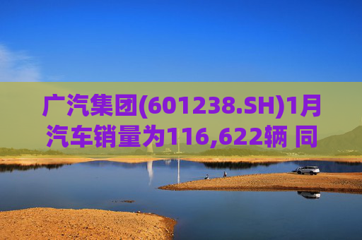 广汽集团(601238.SH)1月汽车销量为116,622辆 同比增长18.47%  第1张