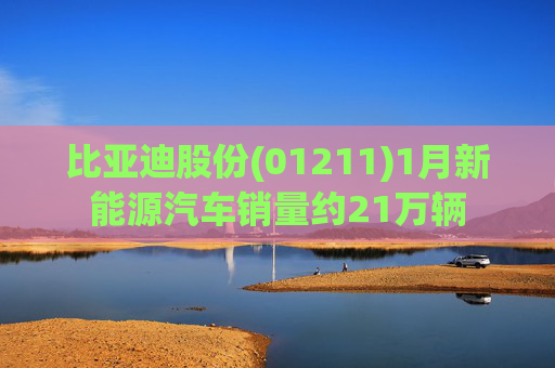 比亚迪股份(01211)1月新能源汽车销量约21万辆
