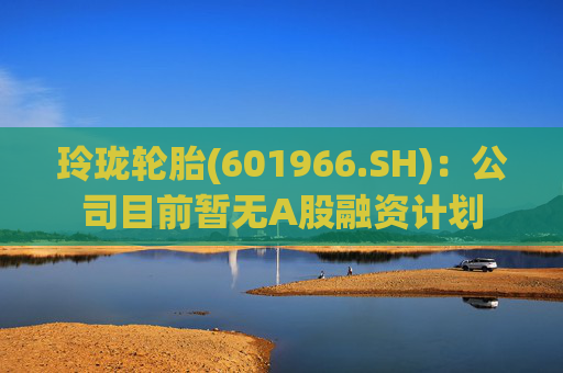 玲珑轮胎(601966.SH)：公司目前暂无A股融资计划