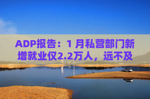 ADP报告：1 月私营部门新增就业仅2.2万人，远不及预期