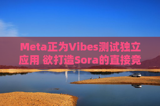 Meta正为Vibes测试独立应用 欲打造Sora的直接竞品