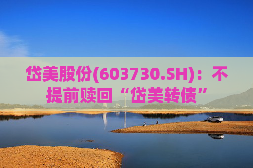 岱美股份(603730.SH)：不提前赎回“岱美转债”
