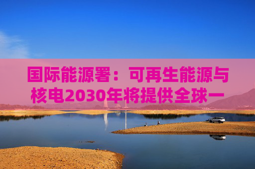 国际能源署：可再生能源与核电2030年将提供全球一半电力
