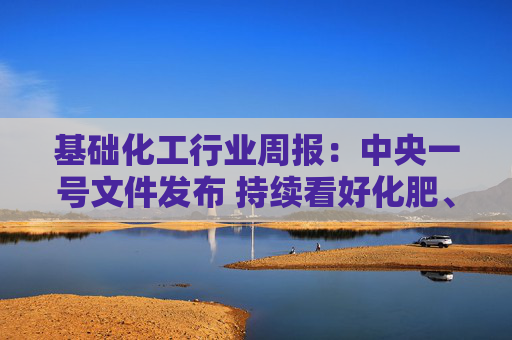 基础化工行业周报：中央一号文件发布 持续看好化肥、农药头部企业产业竞争优势