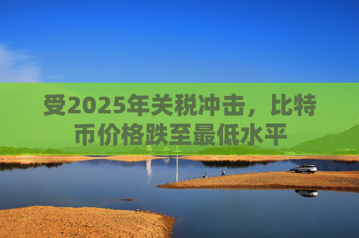 受2025年关税冲击，比特币价格跌至最低水平  第1张