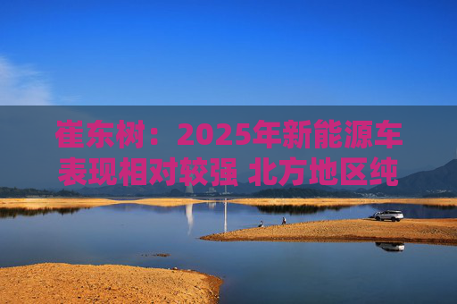 崔东树：2025年新能源车表现相对较强 北方地区纯电动占比提升明显