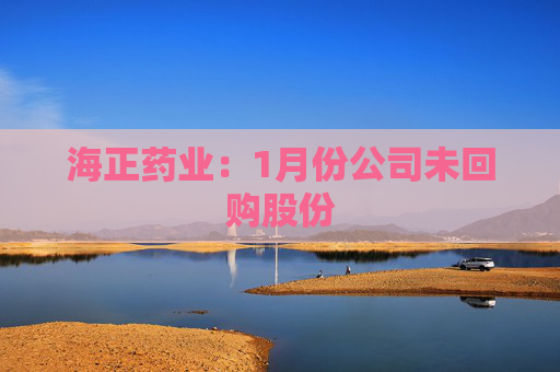 海正药业：1月份公司未回购股份