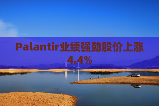 Palantir业绩强劲股价上涨4.4%