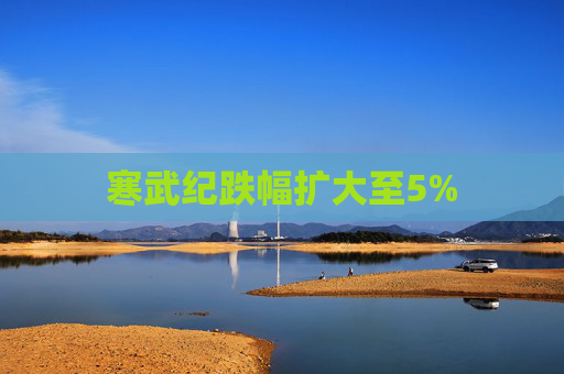 寒武纪跌幅扩大至5%