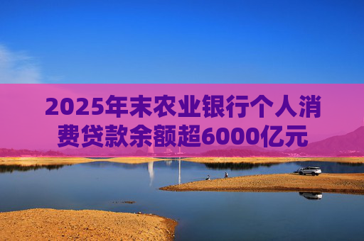 2025年末农业银行个人消费贷款余额超6000亿元