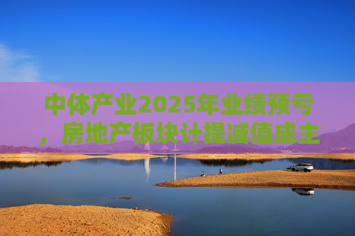 中体产业2025年业绩预亏，房地产板块计提减值成主因