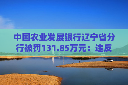 中国农业发展银行辽宁省分行被罚131.85万元：违反金融统计相关规定