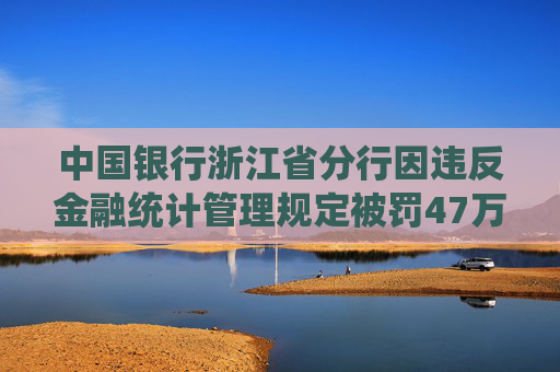 中国银行浙江省分行因违反金融统计管理规定被罚47万元