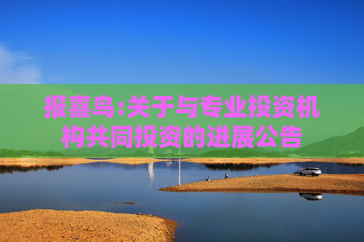 报喜鸟:关于与专业投资机构共同投资的进展公告