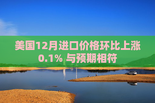美国12月进口价格环比上涨0.1% 与预期相符